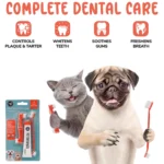 2 Piece Complete Dental Set | Pet Supplies | E-International Market 2