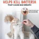 2 Piece Complete Dental Set | Pet Supplies | E-International Market 3